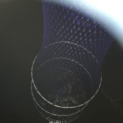 アラカブカワハギアコウアジウマズラ