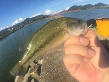 ハゼクランクで連発！？