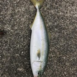 台風前に沖堤防