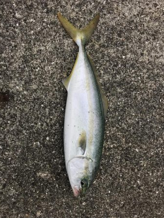 台風前に沖堤防