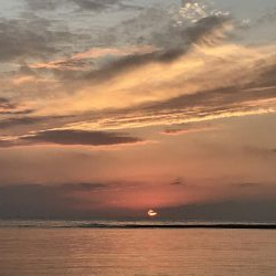 メッキすれてきてセイゴ