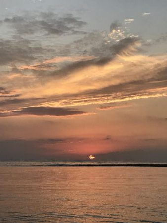 メッキすれてきてセイゴ