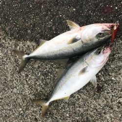 歴史的青物祭り