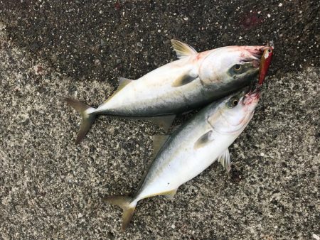 歴史的青物祭り