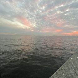 青物は昼間でも釣れる