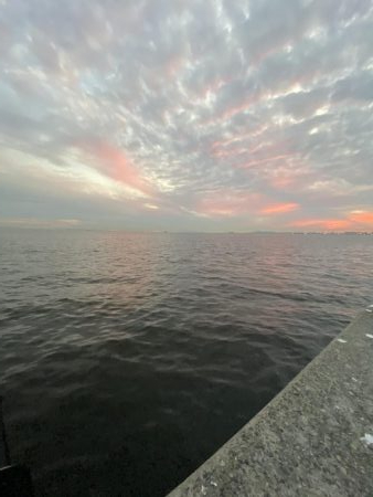 青物は昼間でも釣れる