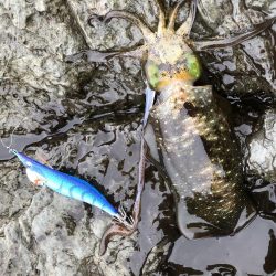 釣果もハリケーン‼︎