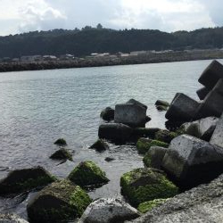 ライトタックルで泳がせ釣り