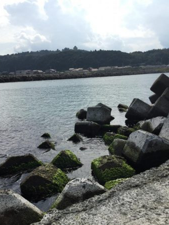 ライトタックルで泳がせ釣り