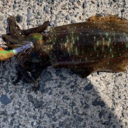 イージーエギング