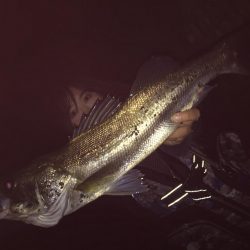 ナイトシーバス