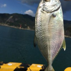 メッキ アナハゼ