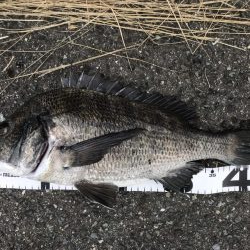 イチノ兄弟、釣果！