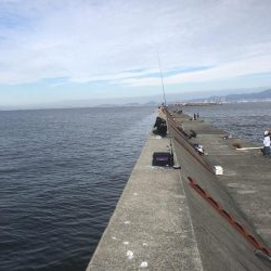 人!人!人!人‼︎‼︎