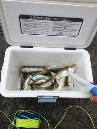 サビキ釣り