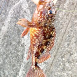 台風の影響で海は荒れていましたが