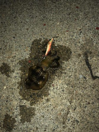 シーズン初釣行♪