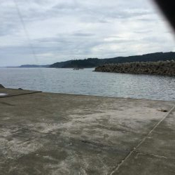 秋イカラッシュ