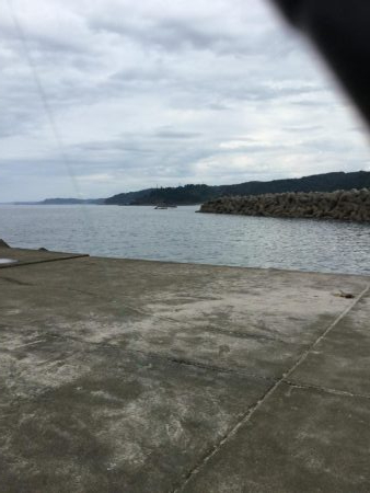 秋イカラッシュ