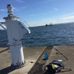 初ポーアイ沖堤‼️