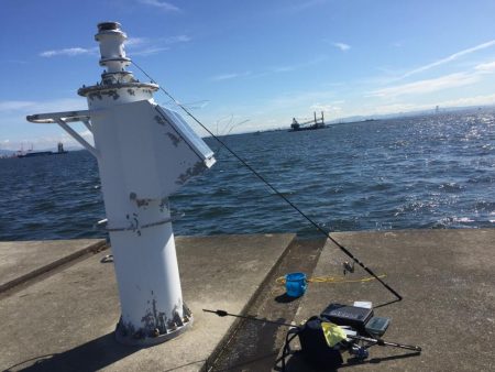 初ポーアイ沖堤‼️