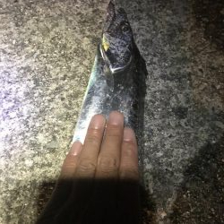 台風後に北公園へ