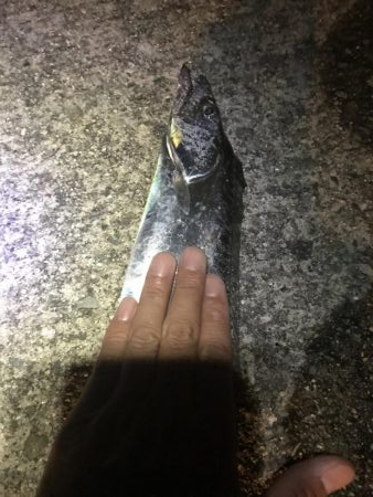 台風後に北公園へ