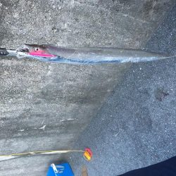 初めて行った釣り。