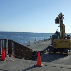 南芦屋浜 小さくてもハマチ(?)