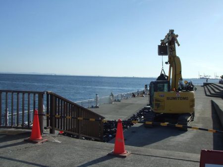 南芦屋浜 小さくてもハマチ(?)