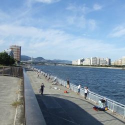 南芦屋浜東　サヨリ釣れず、ハマチ４４㎝