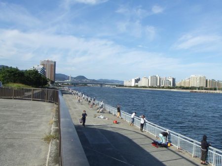 南芦屋浜東　サヨリ釣れず、ハマチ４４㎝