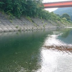 宮川下流域にて