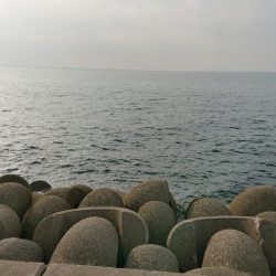 淡路の夜明けにサーべリング〜牙狩り師