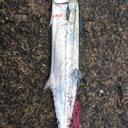 出掛けたついでに