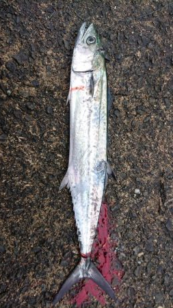 出掛けたついでに