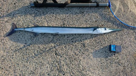 初のメーター！