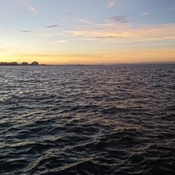 夕マズメ短時間勝負！！