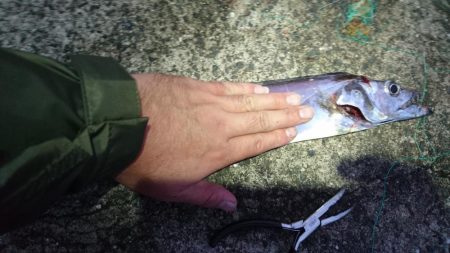 一年ぶりの貝塚