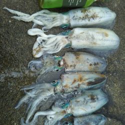 ヤエンのシーズン