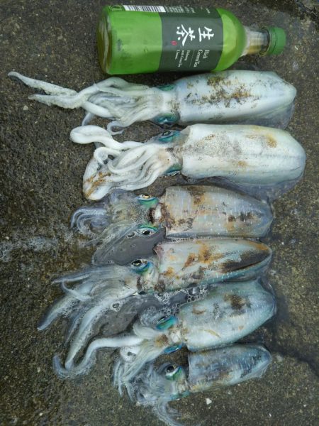 ヤエンのシーズン