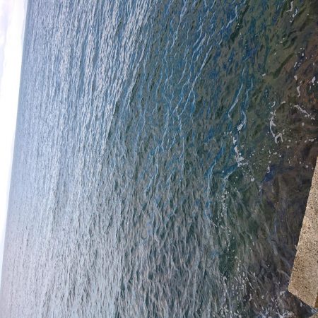 メタルバイブで釣れたもの