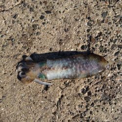 雨が降る前に今週も行って来ました。