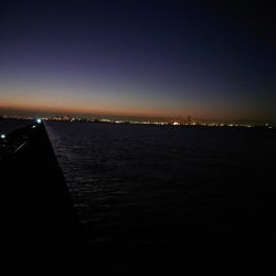 でかいのがほしかった