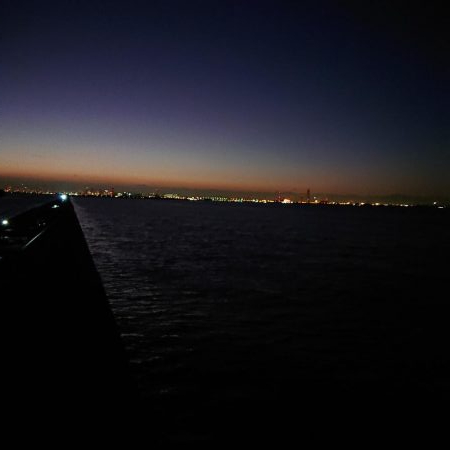 でかいのがほしかった