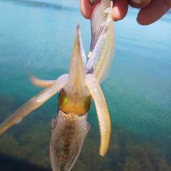 渋い?まだ早い?それとも・・・