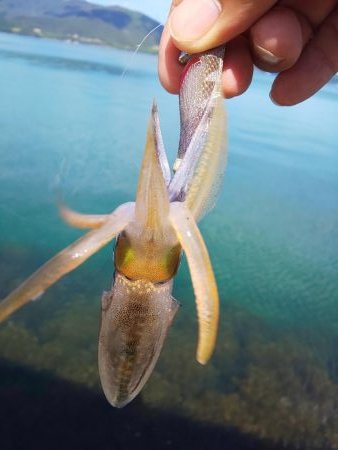 渋い?まだ早い?それとも・・・