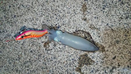 初ホームグランド!