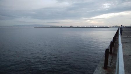 今日もタチウオ調査､結果は・・・