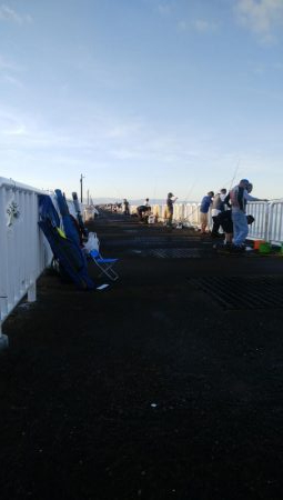 南港の状況調査釣行